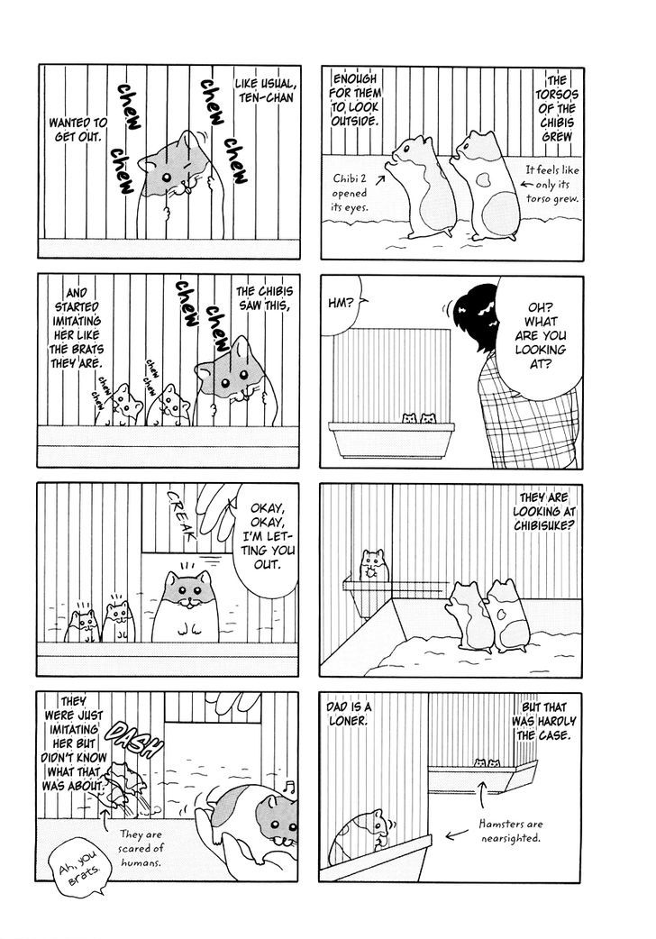 Hamster no Kenkyuu Report Chapter 25 page 13 - Chapter 25 : Report 28