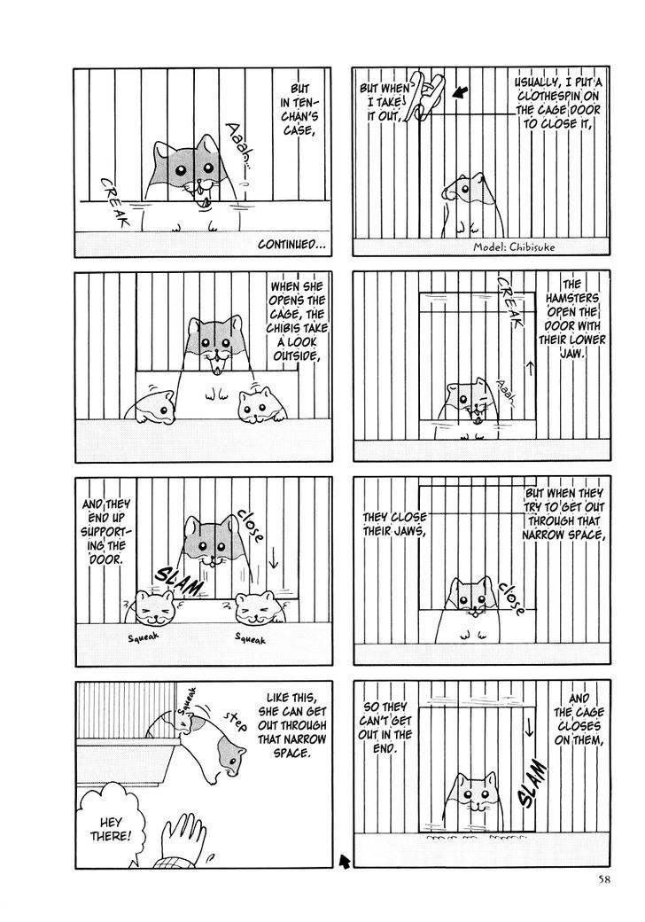 Hamster no Kenkyuu Report Chapter 25 page 14 - Chapter 25 : Report 28