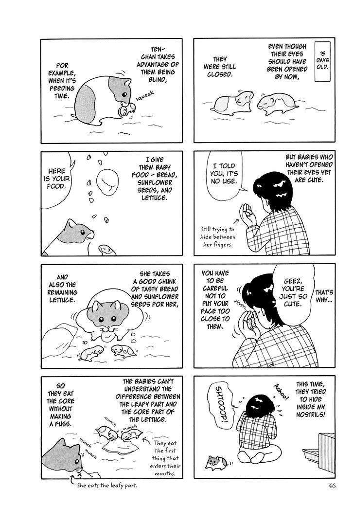 Hamster no Kenkyuu Report Chapter 25 page 2 - Chapter 25 : Report 28