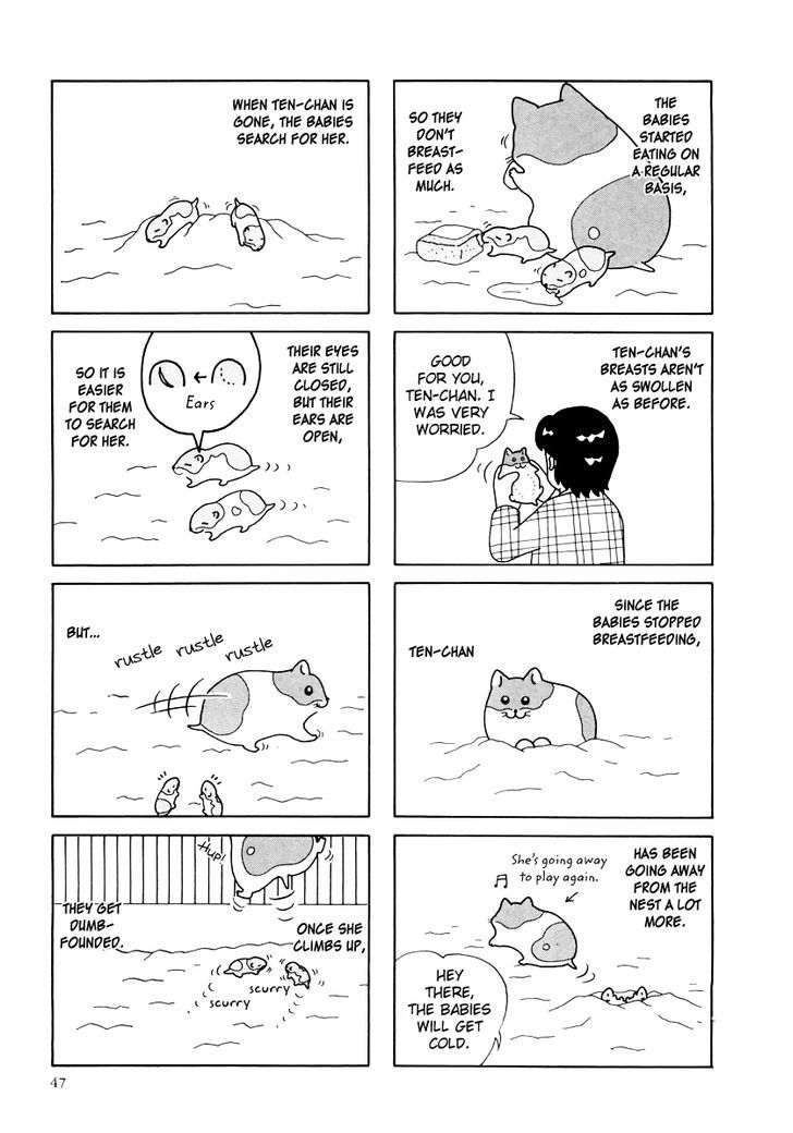 Hamster no Kenkyuu Report Chapter 25 page 3 - Chapter 25 : Report 28