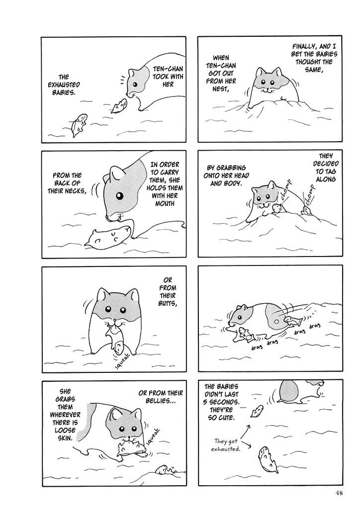 Hamster no Kenkyuu Report Chapter 25 page 4 - Chapter 25 : Report 28