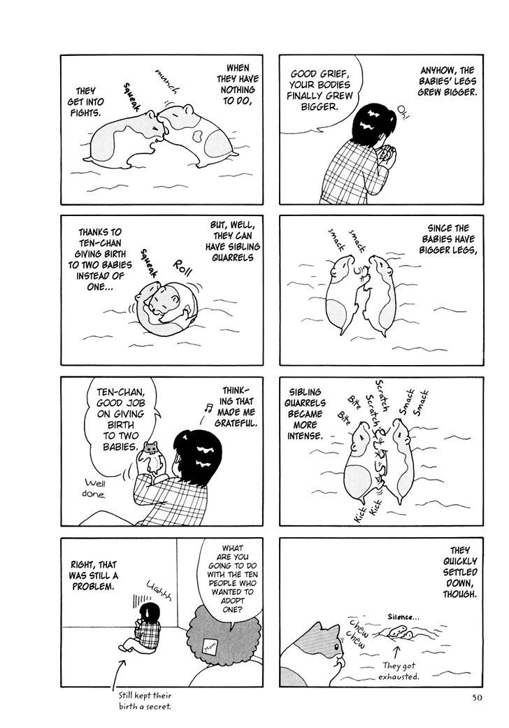 Hamster no Kenkyuu Report Chapter 25 page 6 - Chapter 25 : Report 28