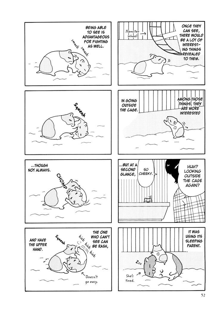 Hamster no Kenkyuu Report Chapter 25 page 8 - Chapter 25 : Report 28