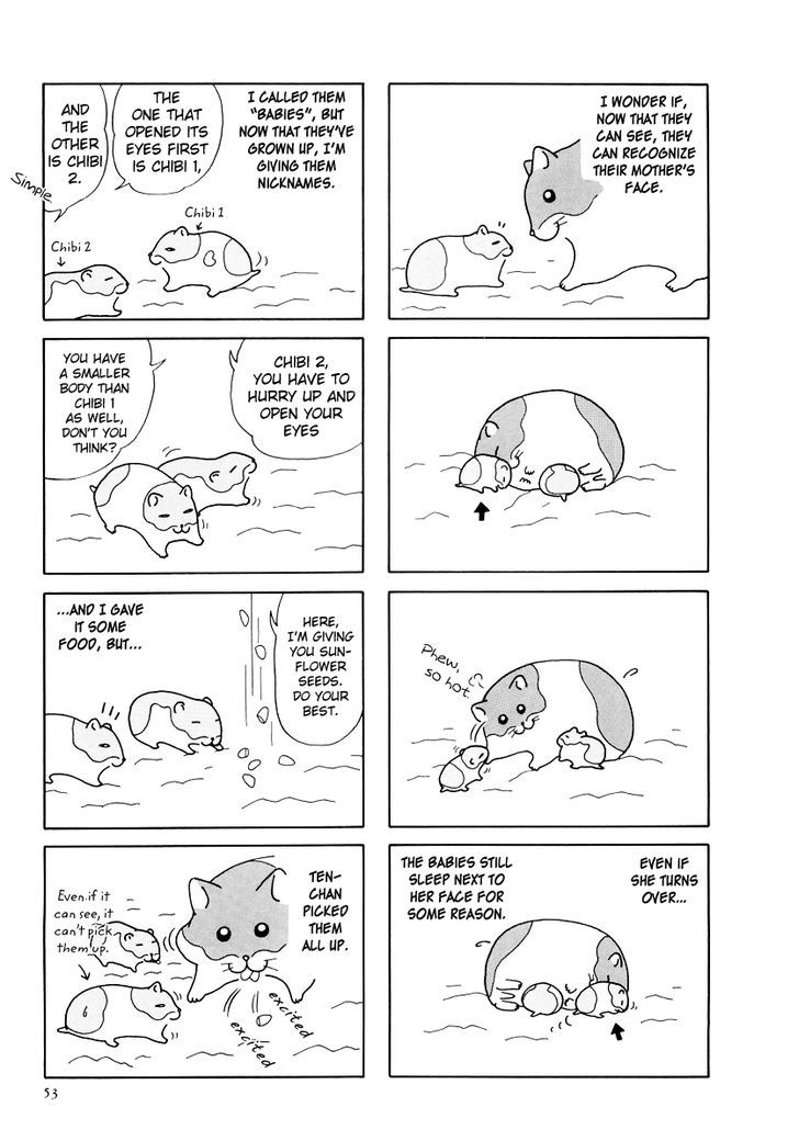 Hamster no Kenkyuu Report Chapter 25 page 9 - Chapter 25 : Report 28