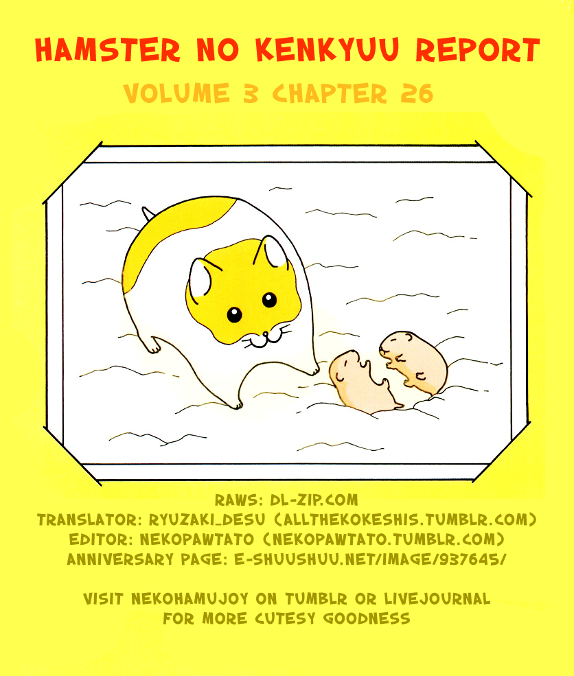 Hamster no Kenkyuu Report Chapter 26 page 18 - Chapter 26 : The Story Of A Tough Dude