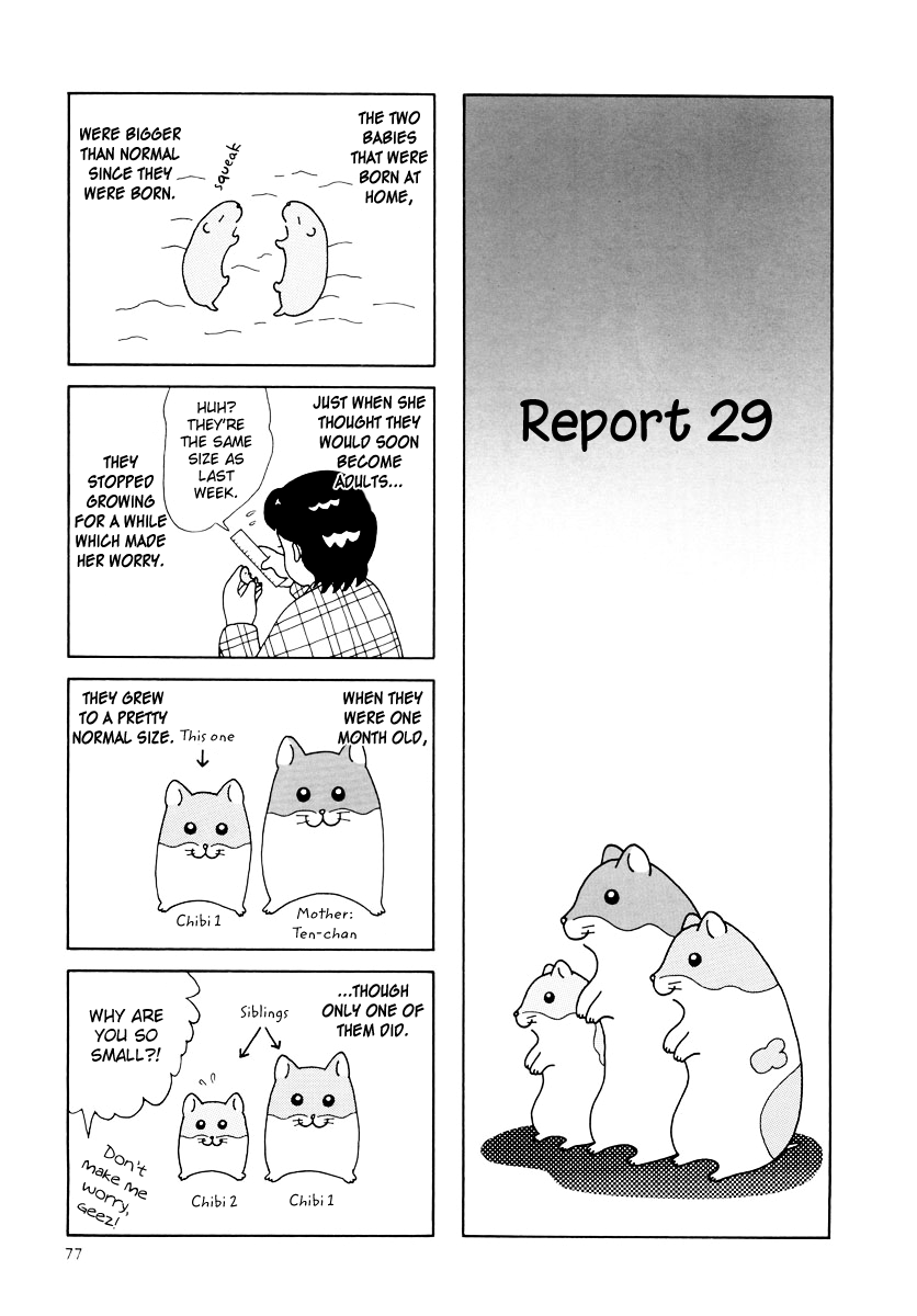 Hamster no Kenkyuu Report Chapter 27 page 1 - Chapter 27 : Report 29