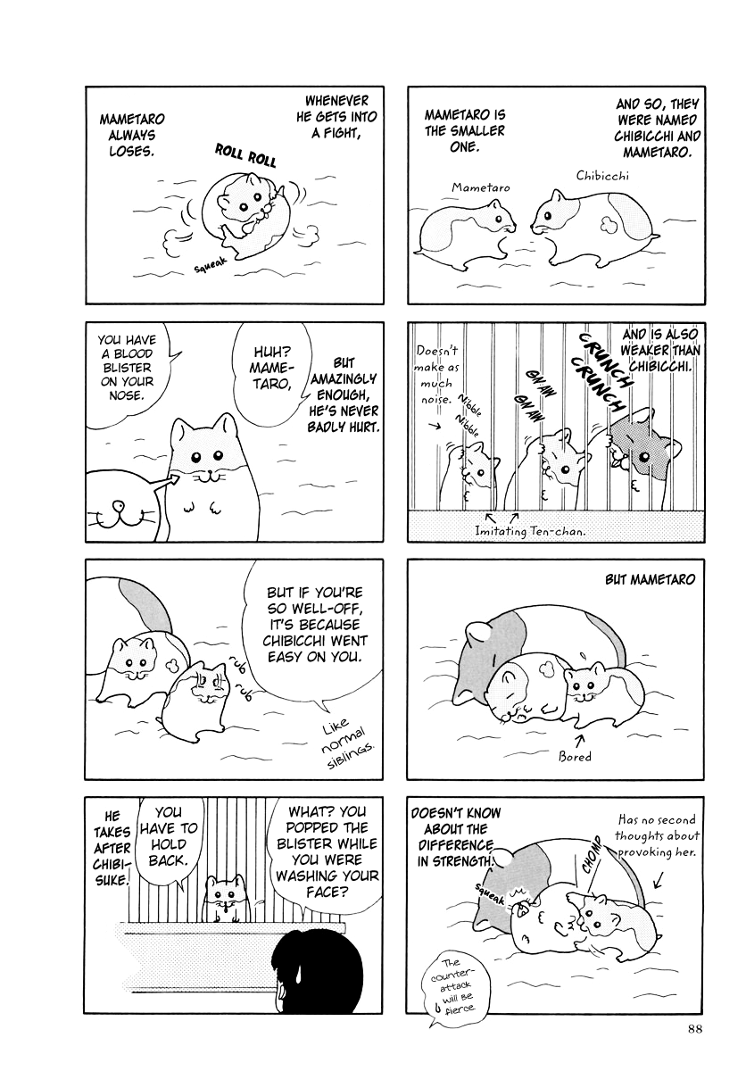 Hamster no Kenkyuu Report Chapter 27 page 12 - Chapter 27 : Report 29