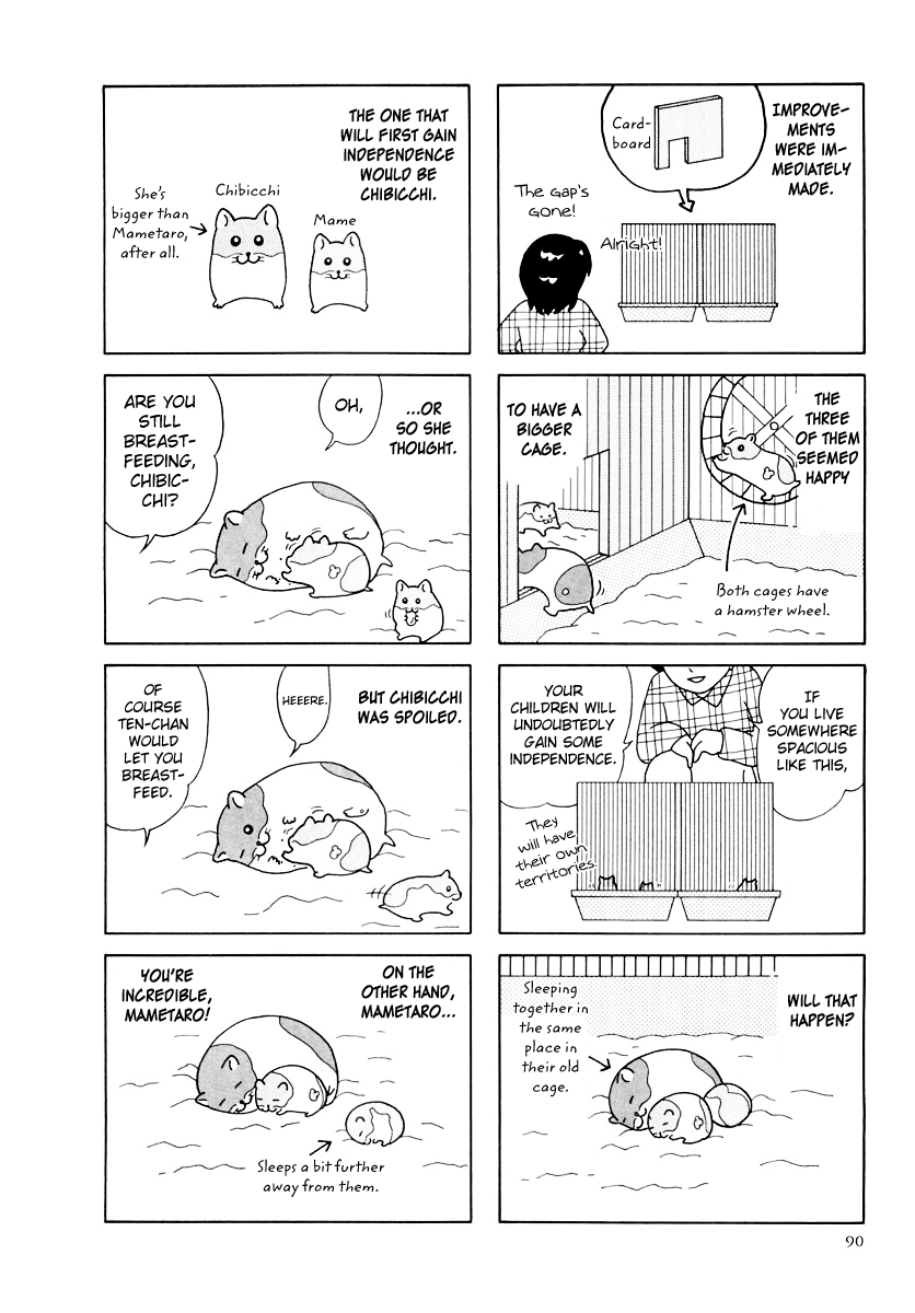 Hamster no Kenkyuu Report Chapter 27 page 14 - Chapter 27 : Report 29