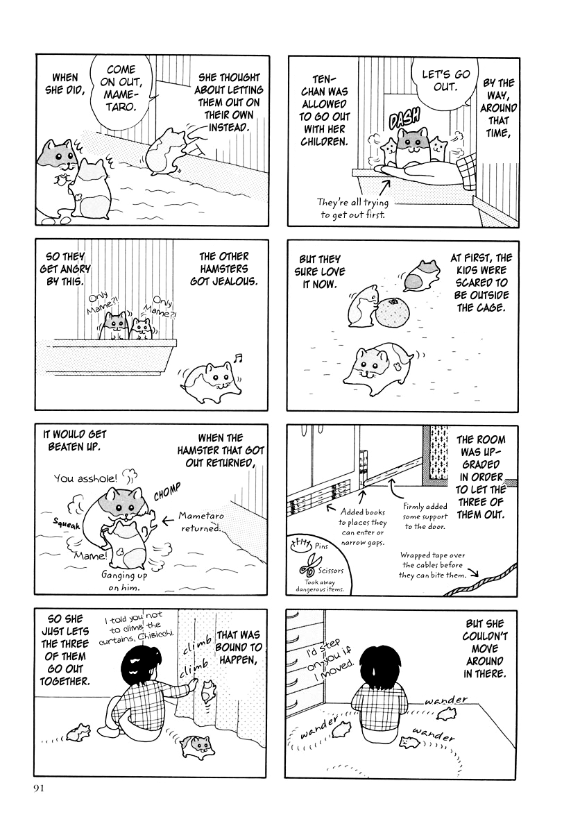 Hamster no Kenkyuu Report Chapter 27 page 15 - Chapter 27 : Report 29