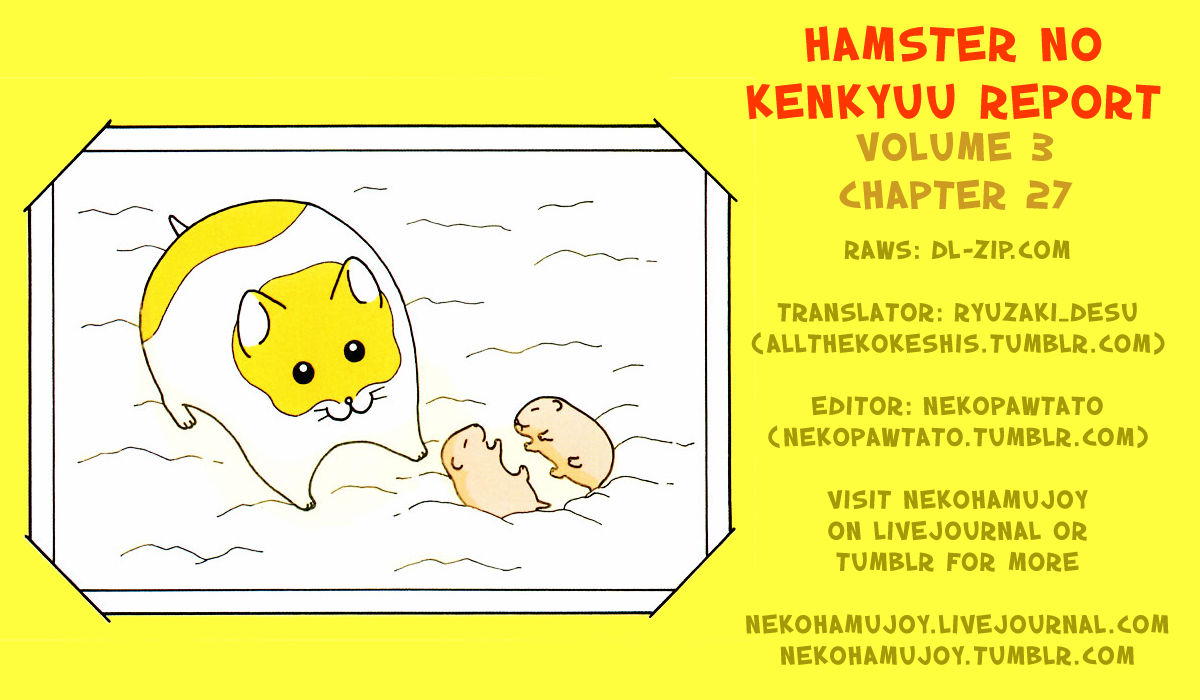 Hamster no Kenkyuu Report Chapter 27 page 17 - Chapter 27 : Report 29