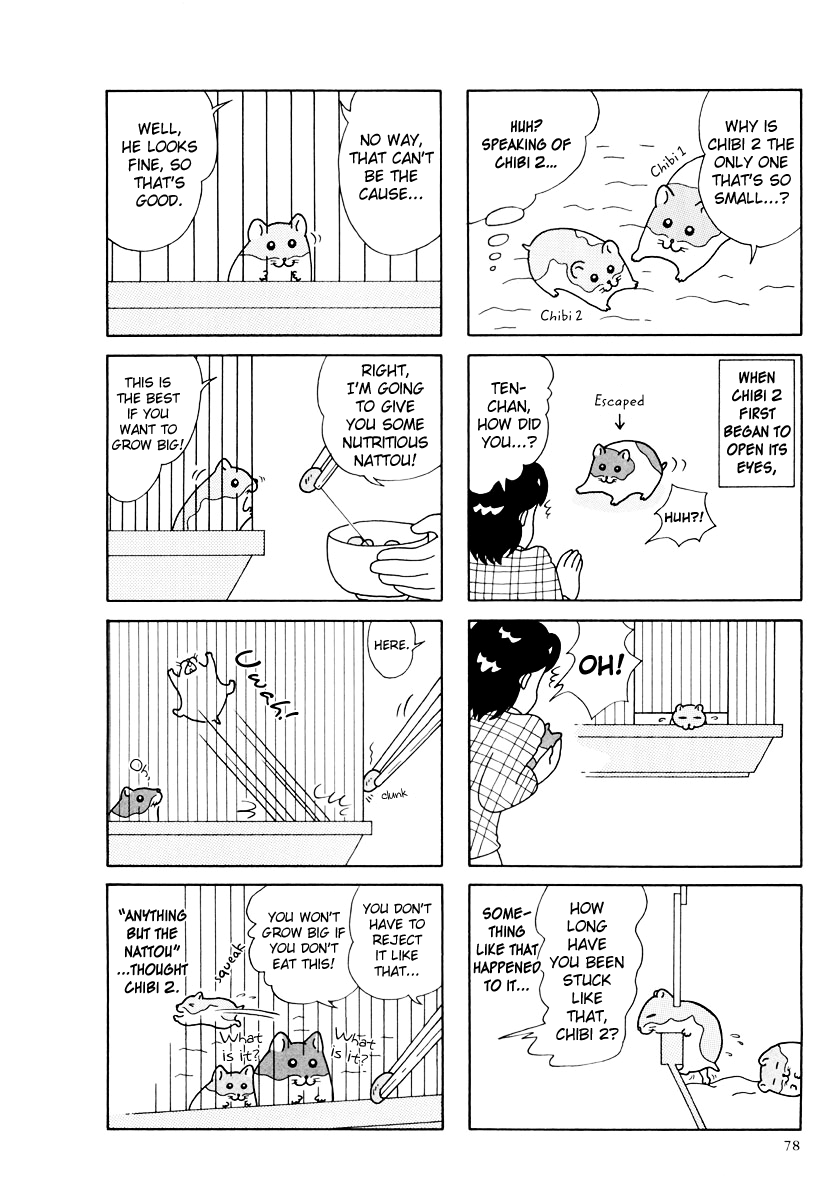 Hamster no Kenkyuu Report Chapter 27 page 2 - Chapter 27 : Report 29
