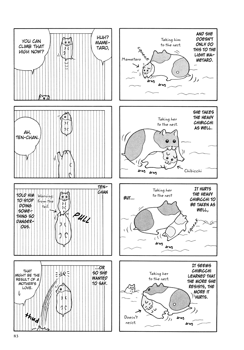 Hamster no Kenkyuu Report Chapter 27 page 7 - Chapter 27 : Report 29