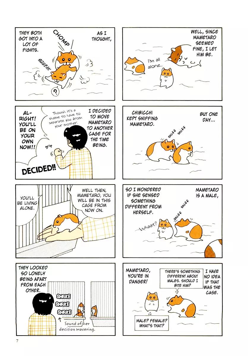 Hamster no Kenkyuu Report Chapter 29 page 11 - Chapter 29: Report 30