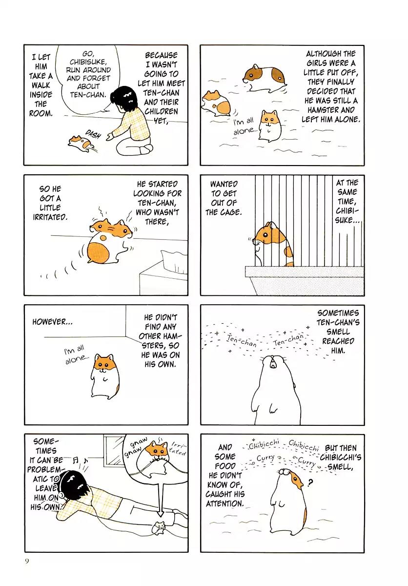 Hamster no Kenkyuu Report Chapter 29 page 13 - Chapter 29: Report 30