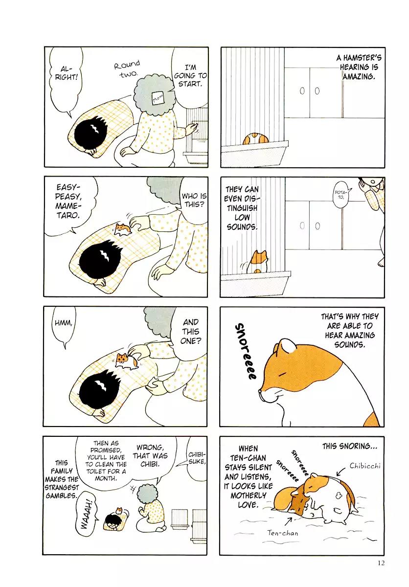 Hamster no Kenkyuu Report Chapter 29 page 16 - Chapter 29: Report 30