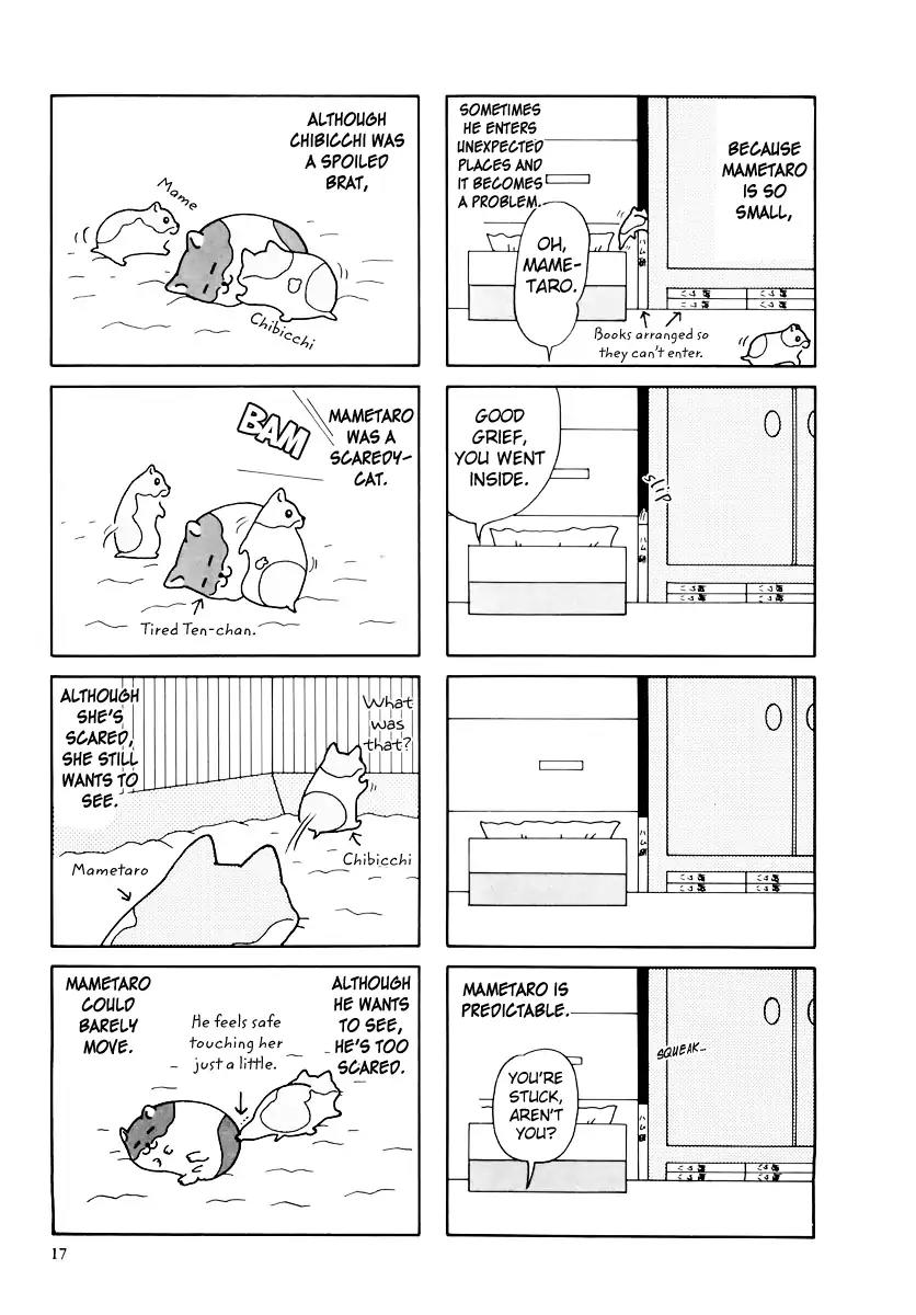 Hamster no Kenkyuu Report Chapter 29 page 21 - Chapter 29: Report 30