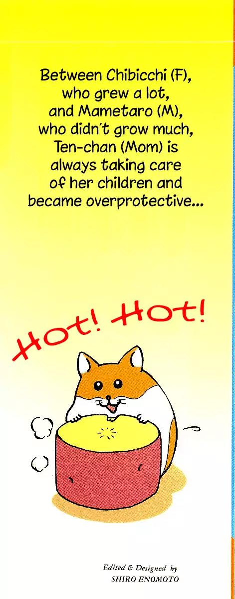 Hamster no Kenkyuu Report Chapter 29 page 4 - Chapter 29: Report 30