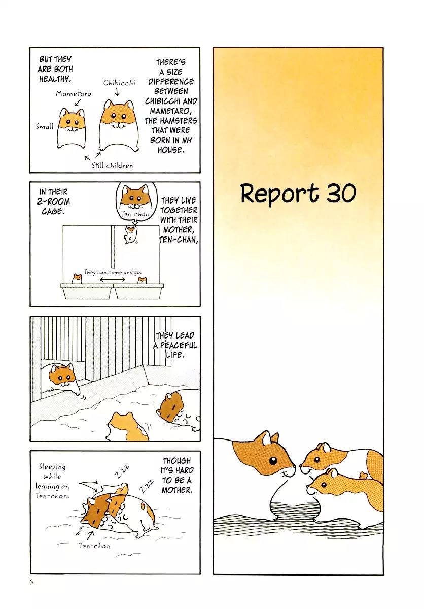 Hamster no Kenkyuu Report Chapter 29 page 9 - Chapter 29: Report 30