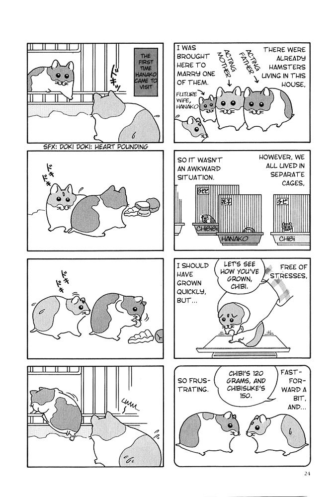 Hamster no Kenkyuu Report Chapter 3.2 page 2 - Chapter 3 v2 : A Hamster's Tale
