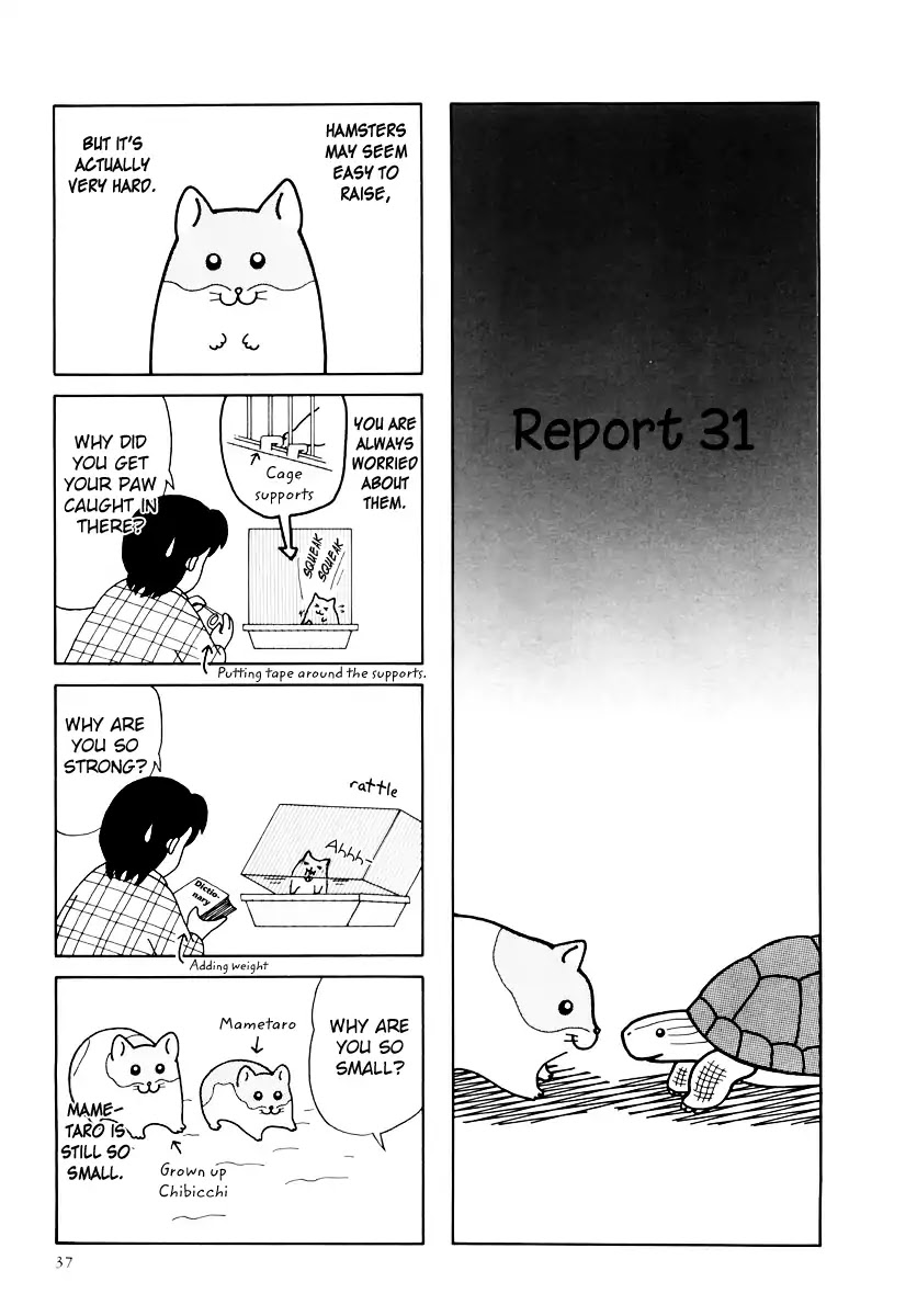 Hamster no Kenkyuu Report Chapter 31 page 1 - Chapter 31: Report 31