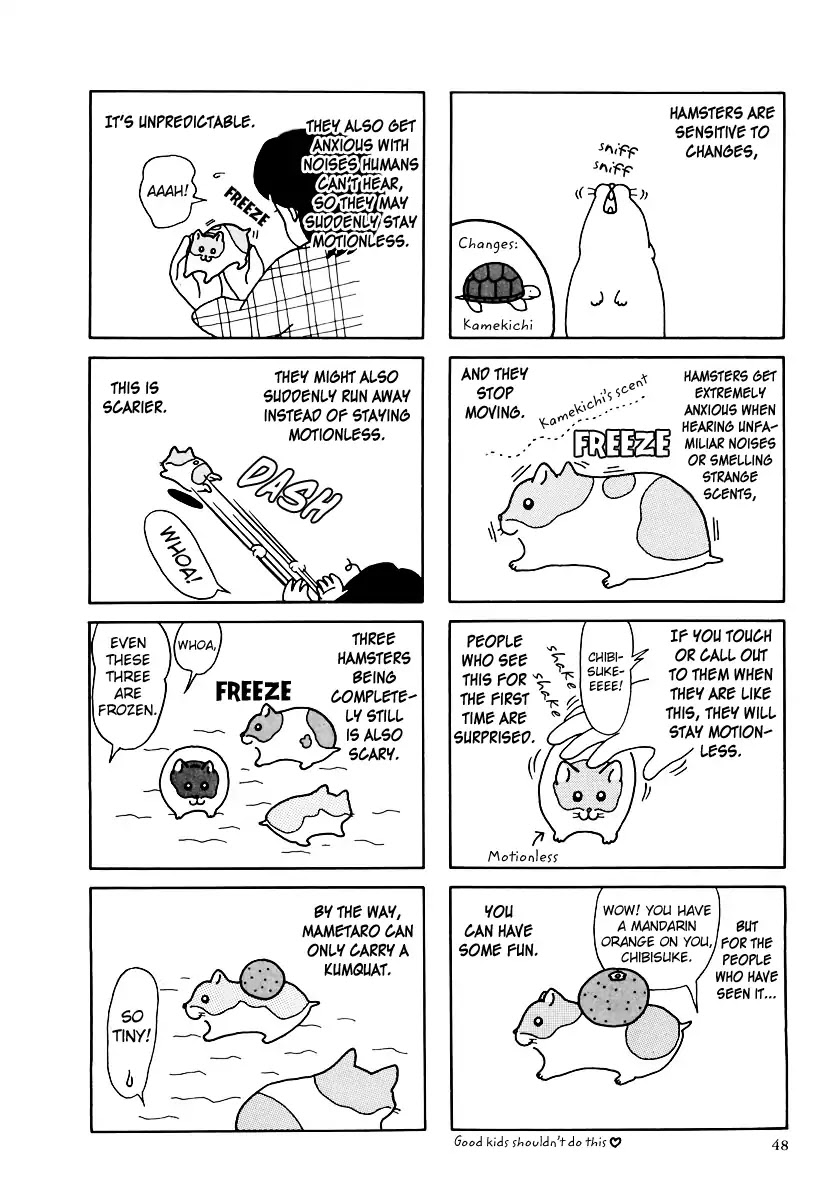Hamster no Kenkyuu Report Chapter 31 page 12 - Chapter 31: Report 31