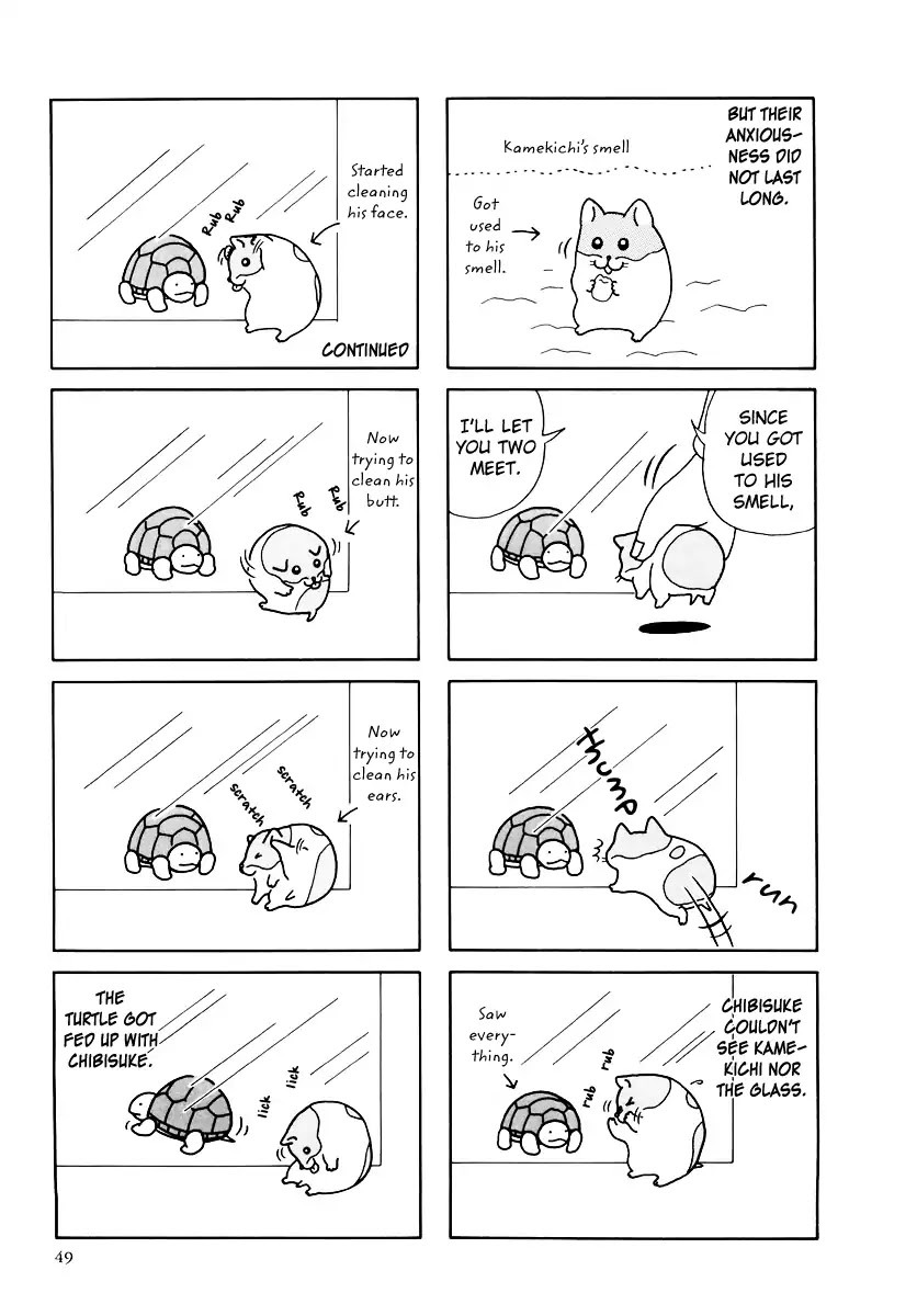 Hamster no Kenkyuu Report Chapter 31 page 13 - Chapter 31: Report 31
