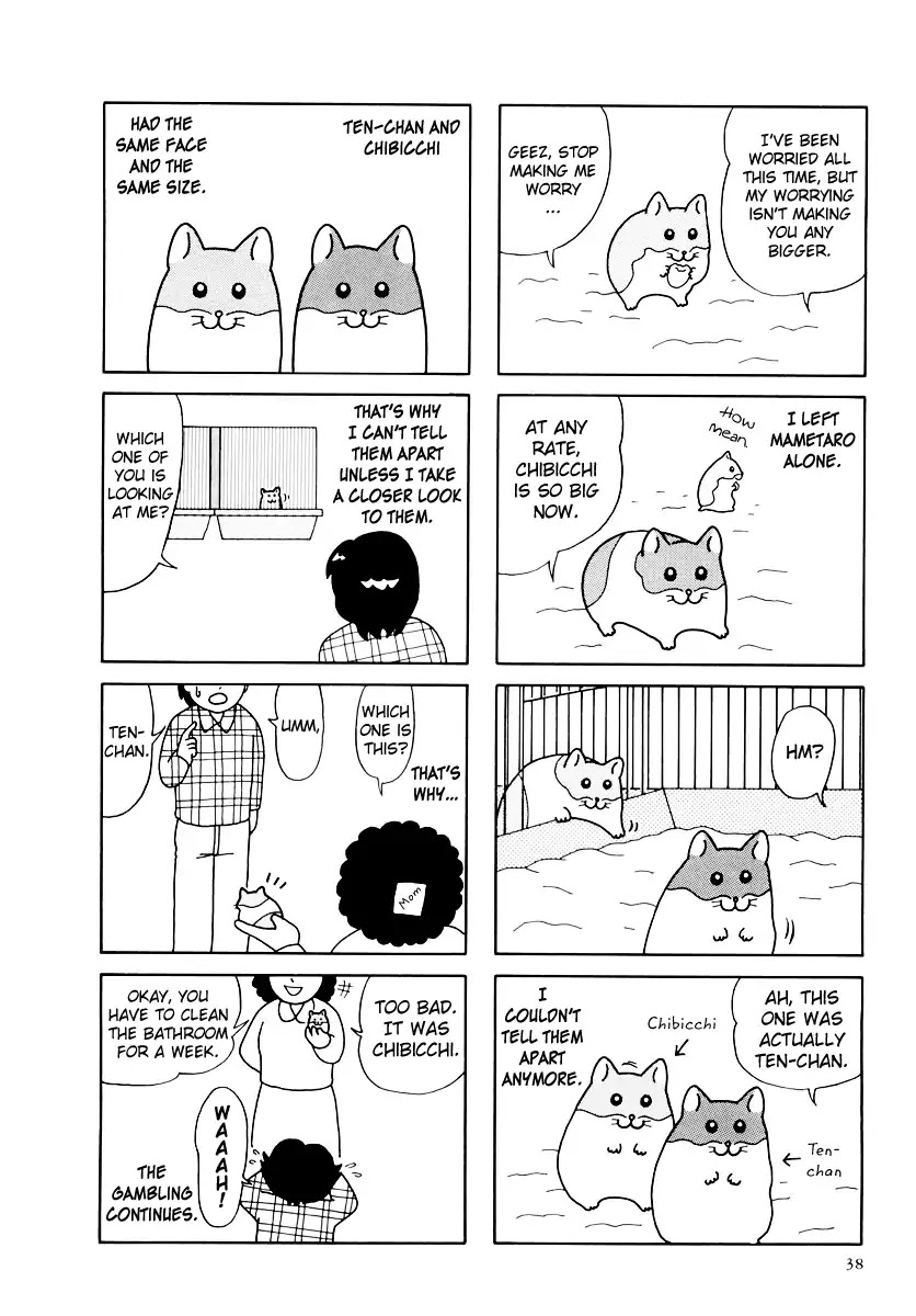 Hamster no Kenkyuu Report Chapter 31 page 2 - Chapter 31: Report 31