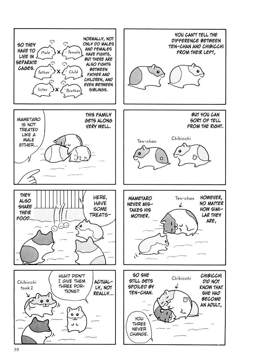 Hamster no Kenkyuu Report Chapter 31 page 3 - Chapter 31: Report 31