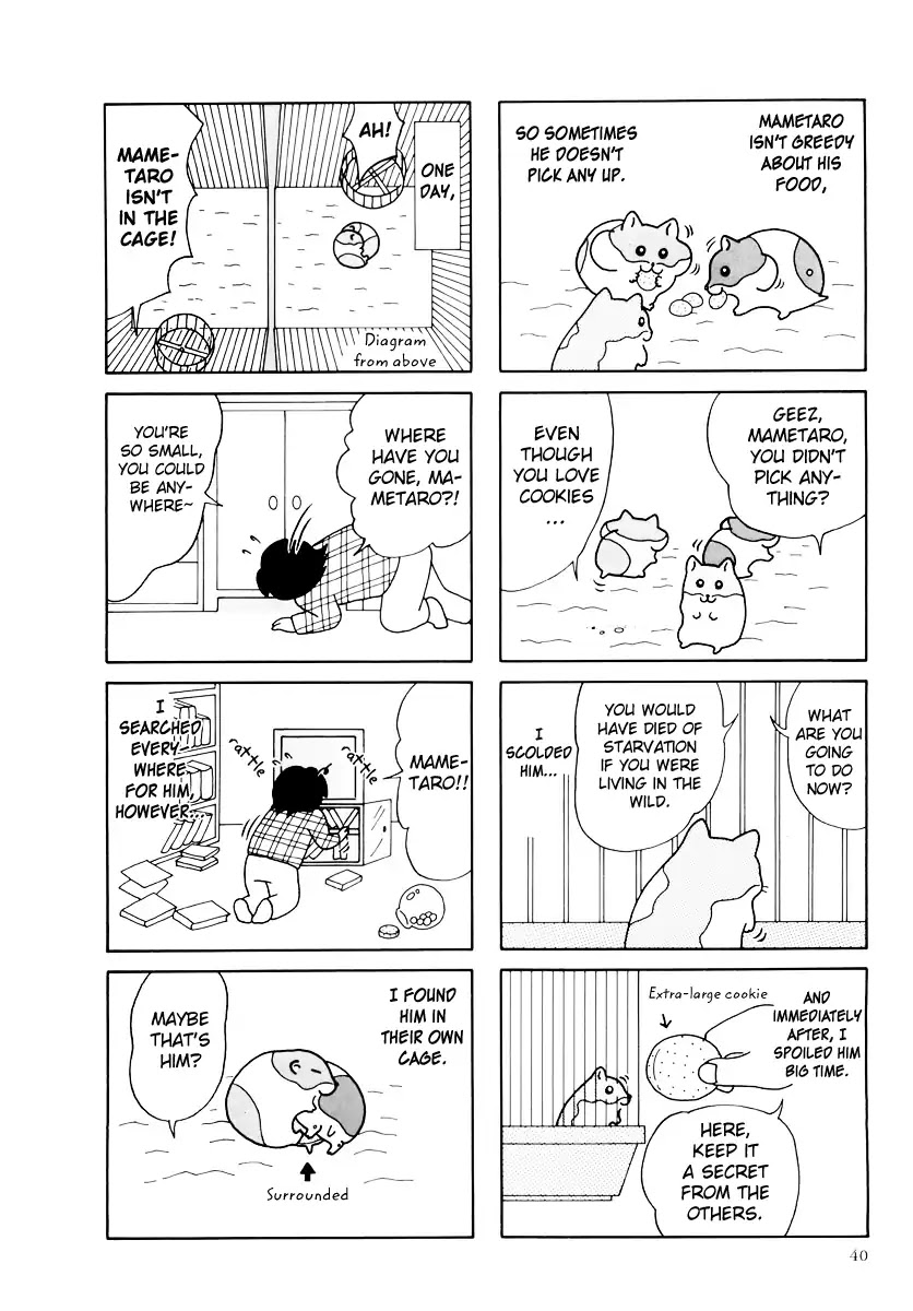 Hamster no Kenkyuu Report Chapter 31 page 4 - Chapter 31: Report 31