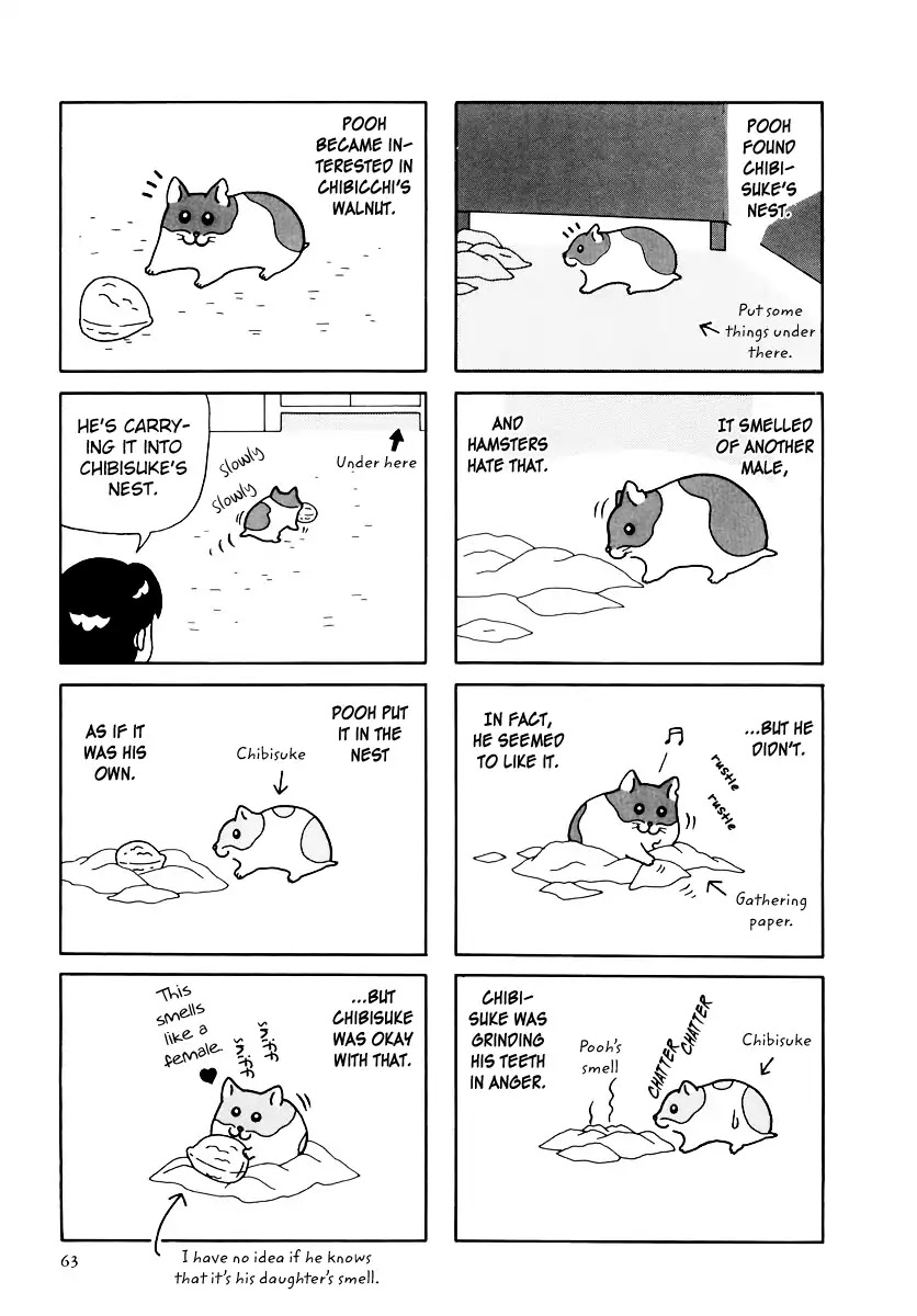 Hamster no Kenkyuu Report Chapter 32 page 12 - Chapter 32: Report 32