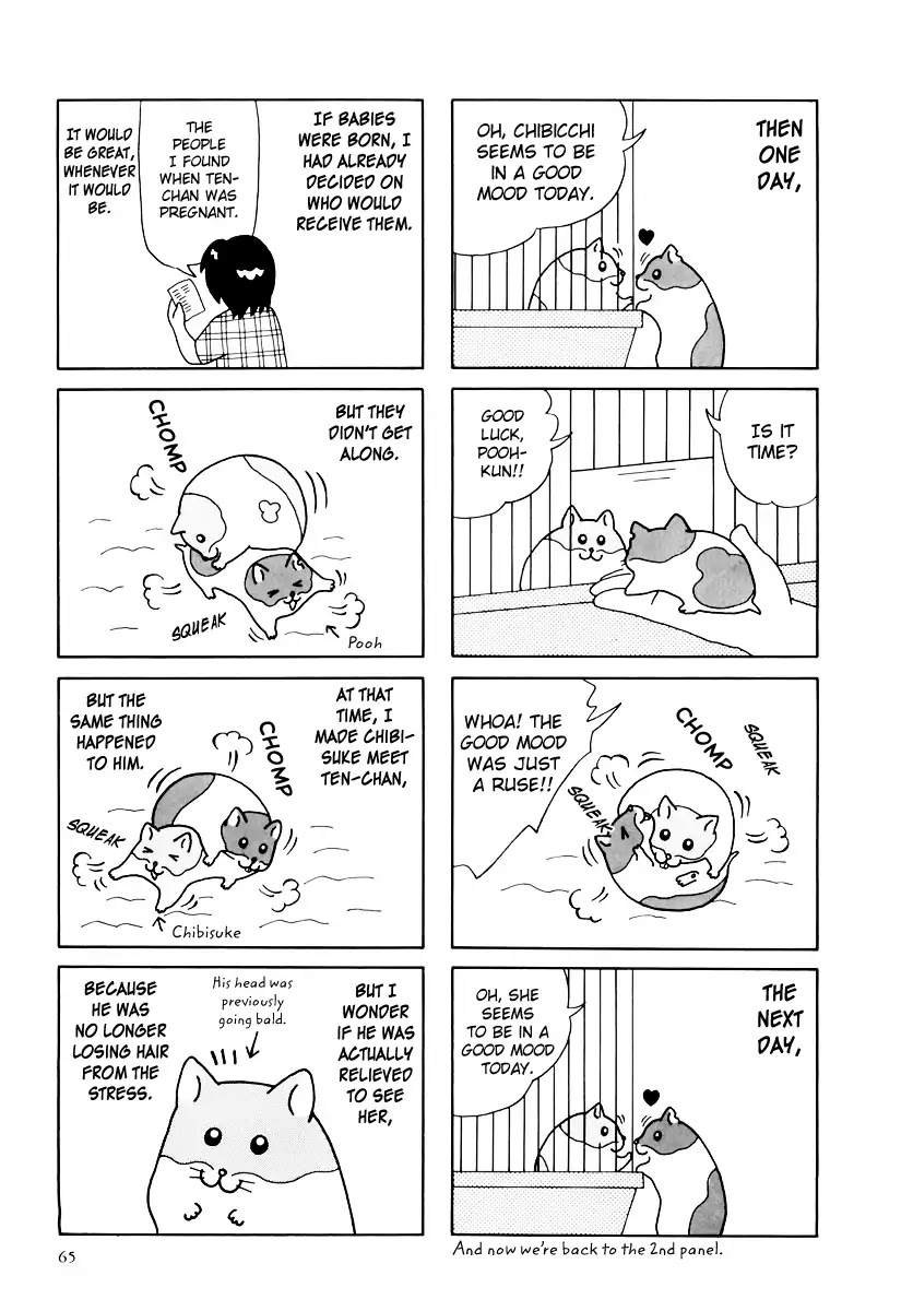 Hamster no Kenkyuu Report Chapter 32 page 14 - Chapter 32: Report 32