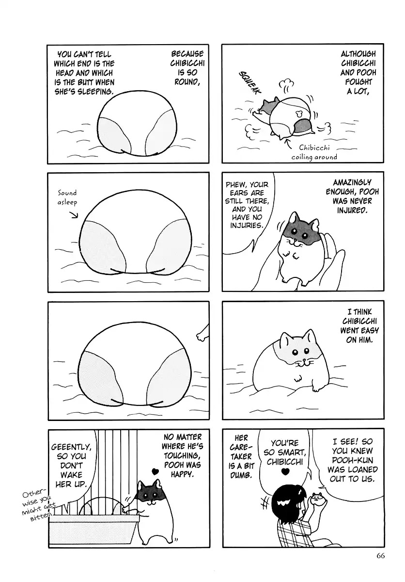 Hamster no Kenkyuu Report Chapter 32 page 15 - Chapter 32: Report 32