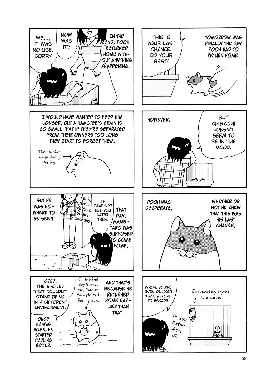 Hamster no Kenkyuu Report Chapter 32 page 17 - Chapter 32: Report 32