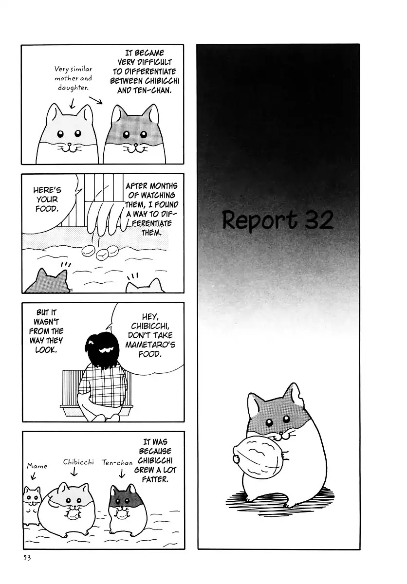 Hamster no Kenkyuu Report Chapter 32 page 2 - Chapter 32: Report 32