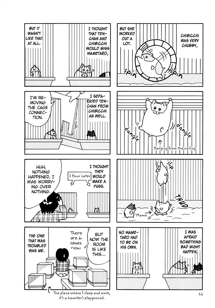 Hamster no Kenkyuu Report Chapter 32 page 3 - Chapter 32: Report 32
