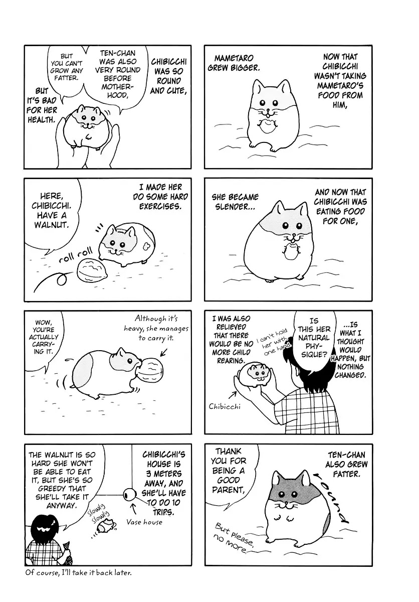 Hamster no Kenkyuu Report Chapter 32 page 4 - Chapter 32: Report 32