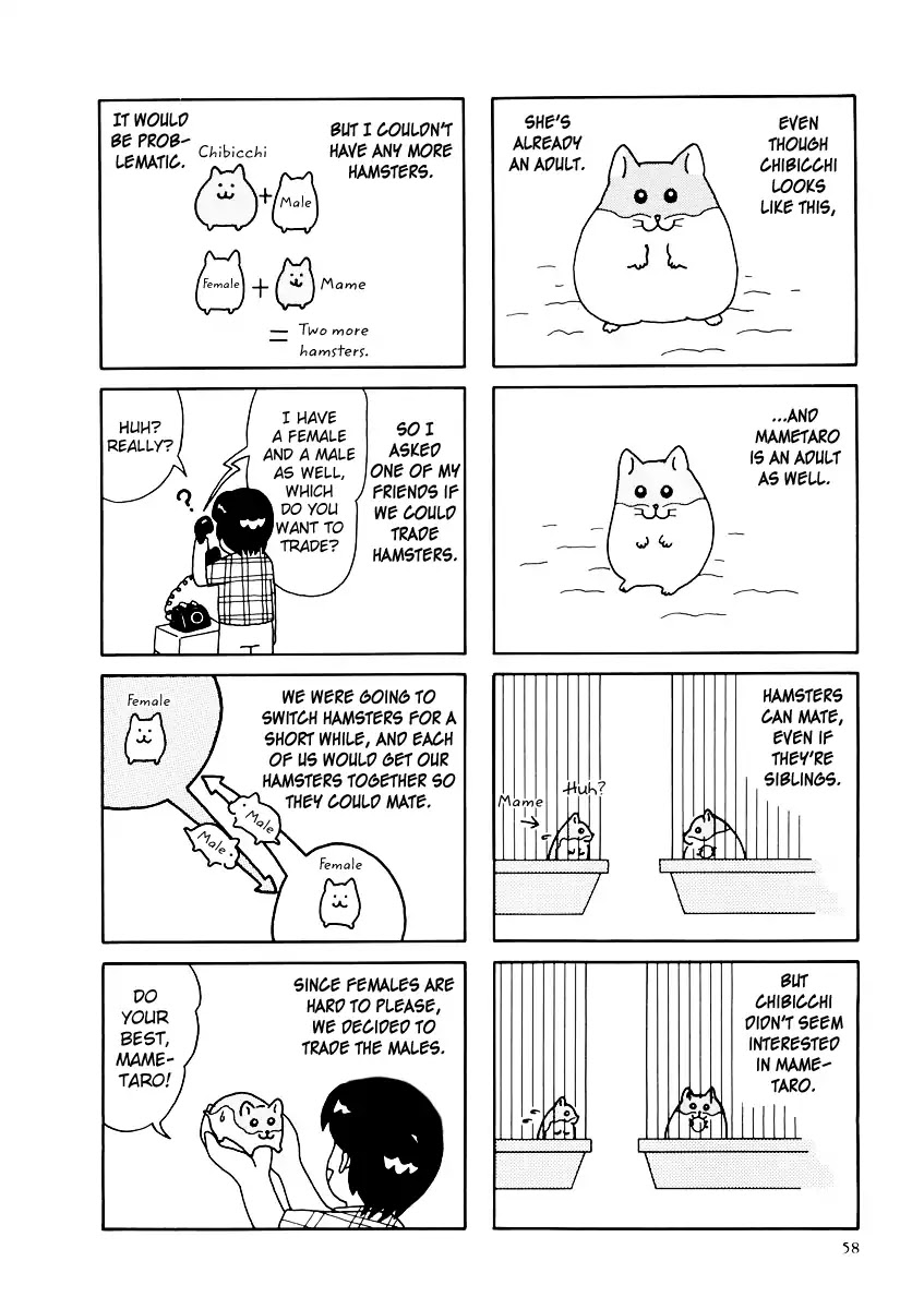 Hamster no Kenkyuu Report Chapter 32 page 7 - Chapter 32: Report 32