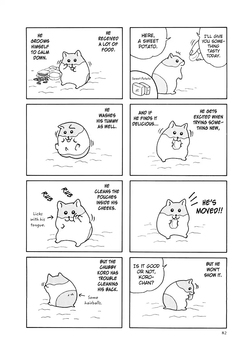 Hamster no Kenkyuu Report Chapter 33 page 14 - Chapter 33: Koro's Long Day