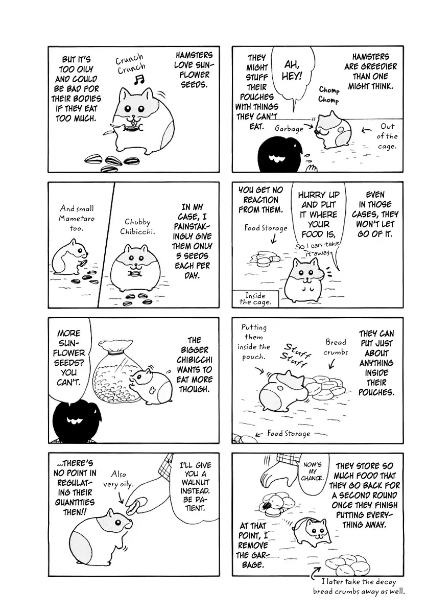 Hamster no Kenkyuu Report Chapter 35 page 4 - Chapter 35: Continuing: Ohyuki Shiwasu's Research Report
