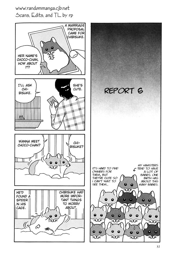 Hamster no Kenkyuu Report Chapter 4.2 page 1 - Chapter 4 v2 : Report 6~10
