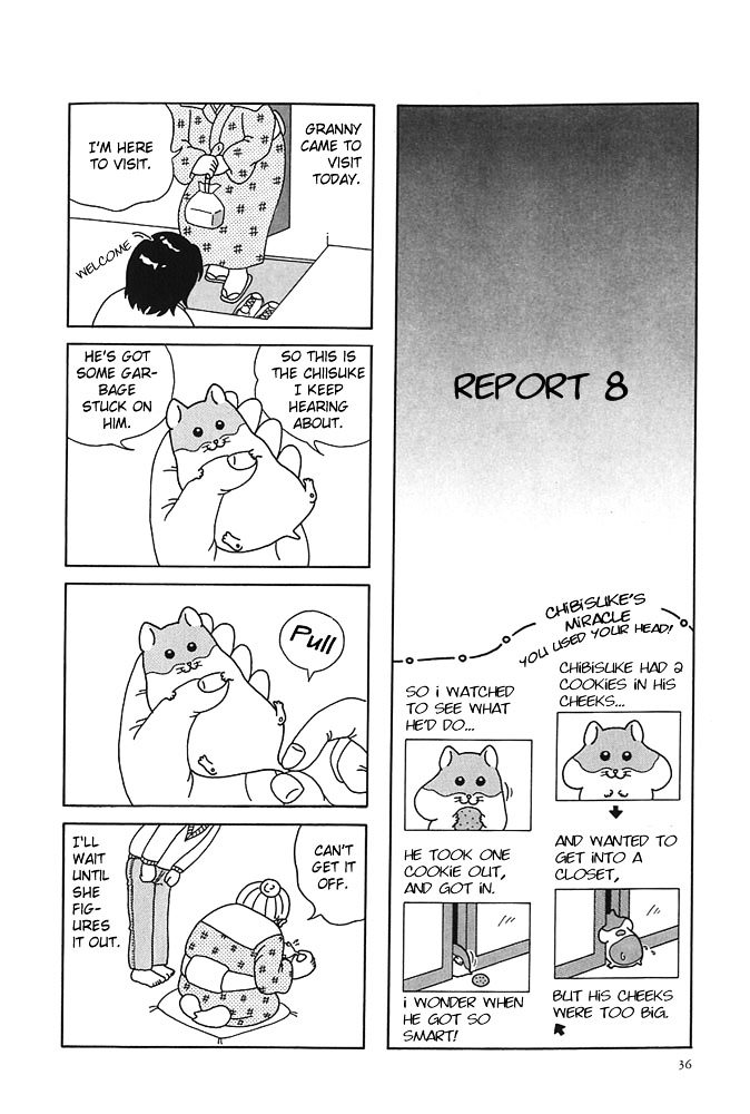 Hamster no Kenkyuu Report Chapter 4.2 page 5 - Chapter 4 v2 : Report 6~10