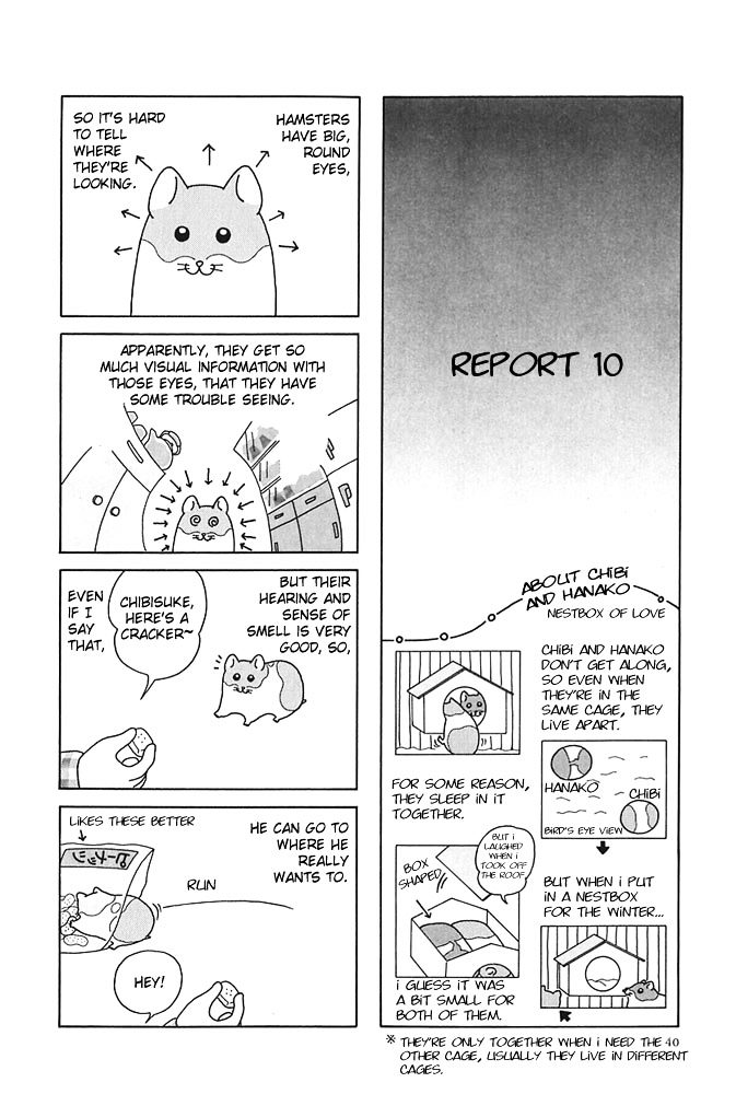 Hamster no Kenkyuu Report Chapter 4.2 page 9 - Chapter 4 v2 : Report 6~10