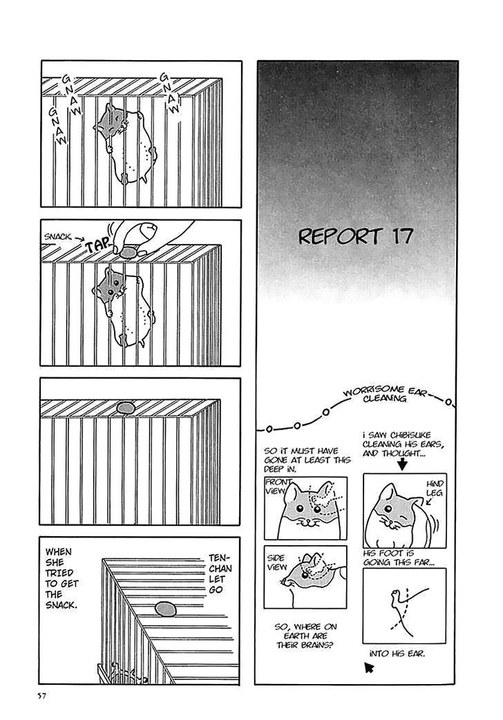 Hamster no Kenkyuu Report Chapter 6 page 12 - Chapter 6 : Report 12~17