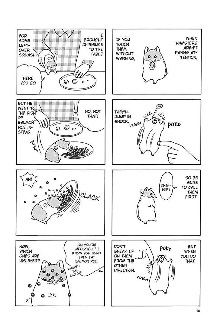 Hamster no Kenkyuu Report Chapter 6 page 14 - Chapter 6 : Report 12~17