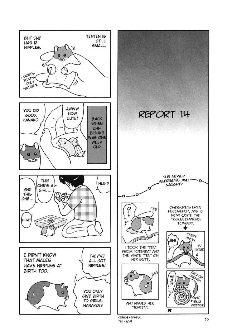 Hamster no Kenkyuu Report Chapter 6 page 5 - Chapter 6 : Report 12~17