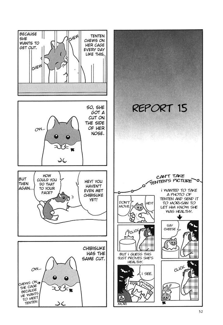 Hamster no Kenkyuu Report Chapter 6 page 7 - Chapter 6 : Report 12~17