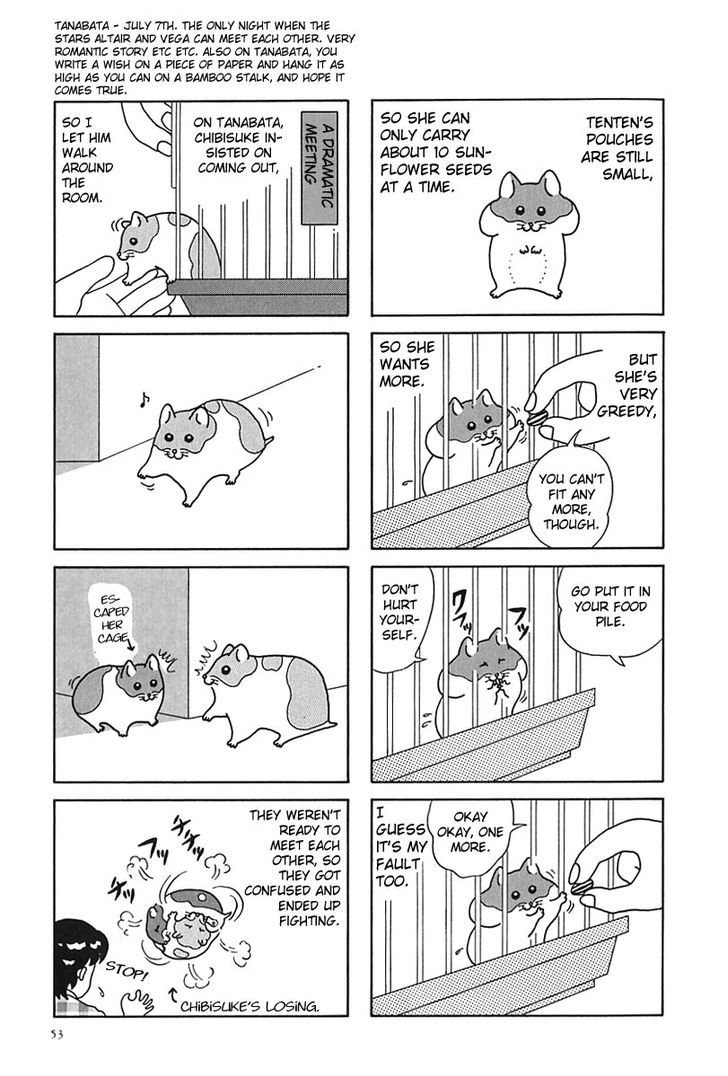 Hamster no Kenkyuu Report Chapter 6 page 8 - Chapter 6 : Report 12~17
