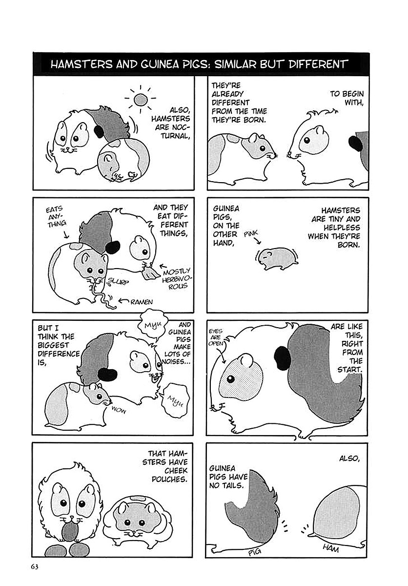 Hamster no Kenkyuu Report Chapter 7.2 page 3 - Chapter 7 v2 : Moru-Chan Visits