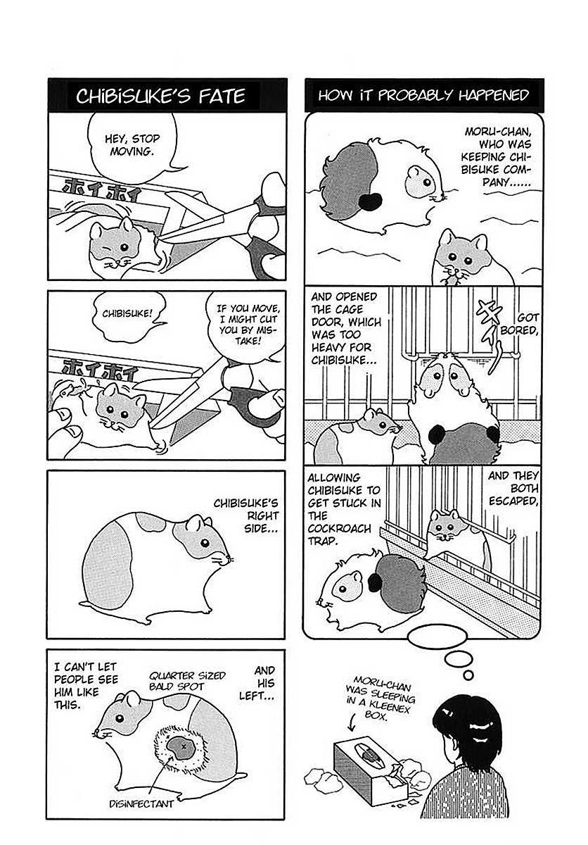 Hamster no Kenkyuu Report Chapter 7.2 page 6 - Chapter 7 v2 : Moru-Chan Visits