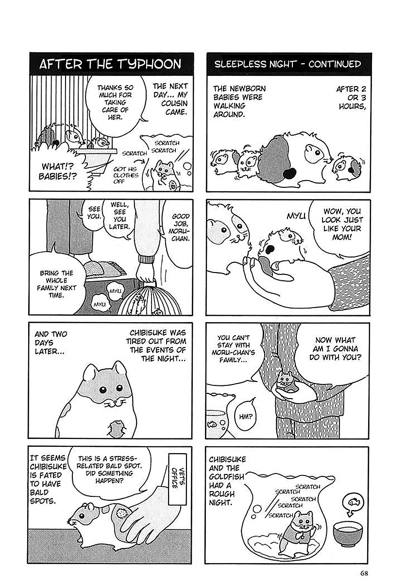 Hamster no Kenkyuu Report Chapter 7.2 page 8 - Chapter 7 v2 : Moru-Chan Visits